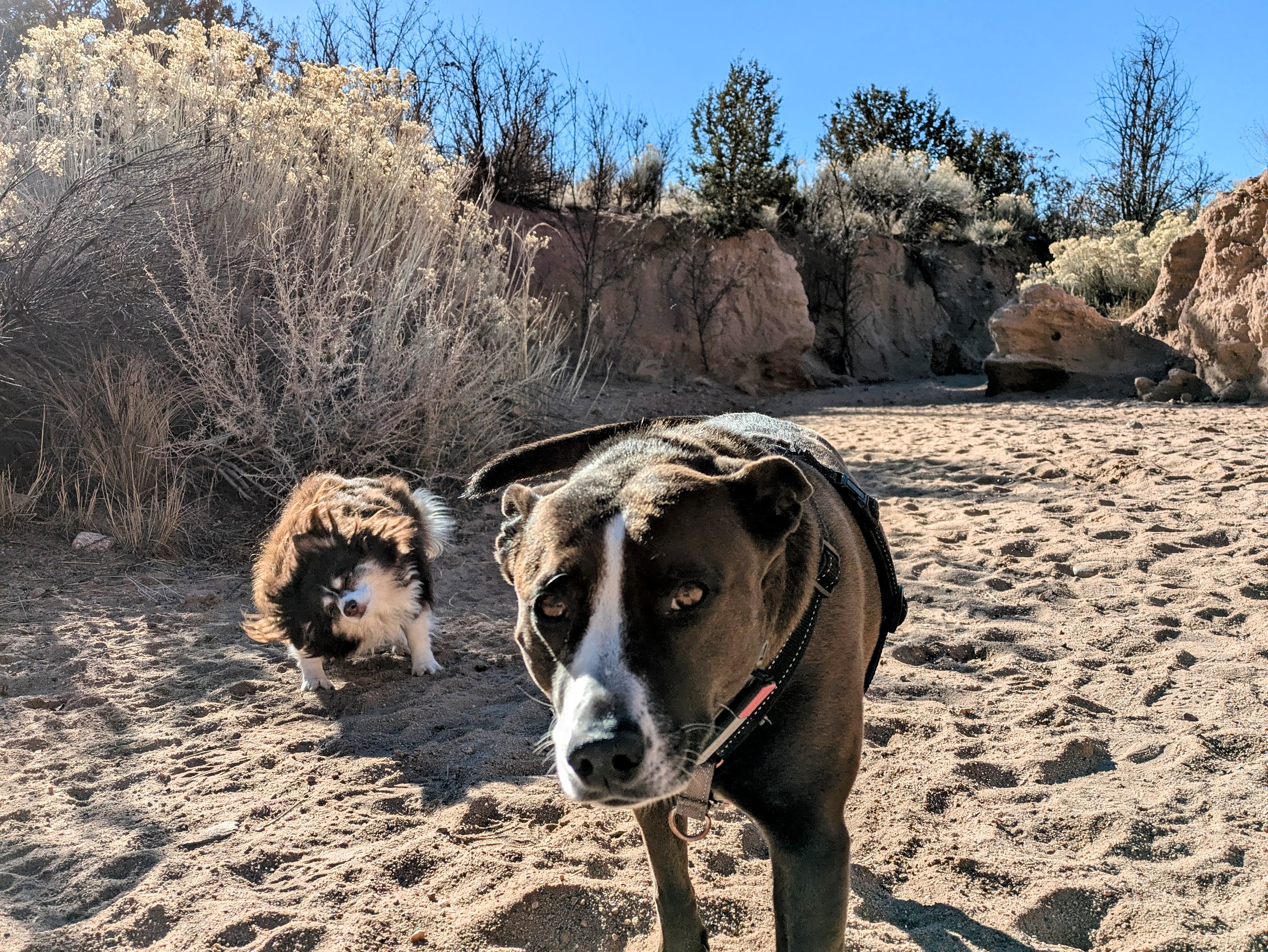 PXL_20260120_164417144-EDIT