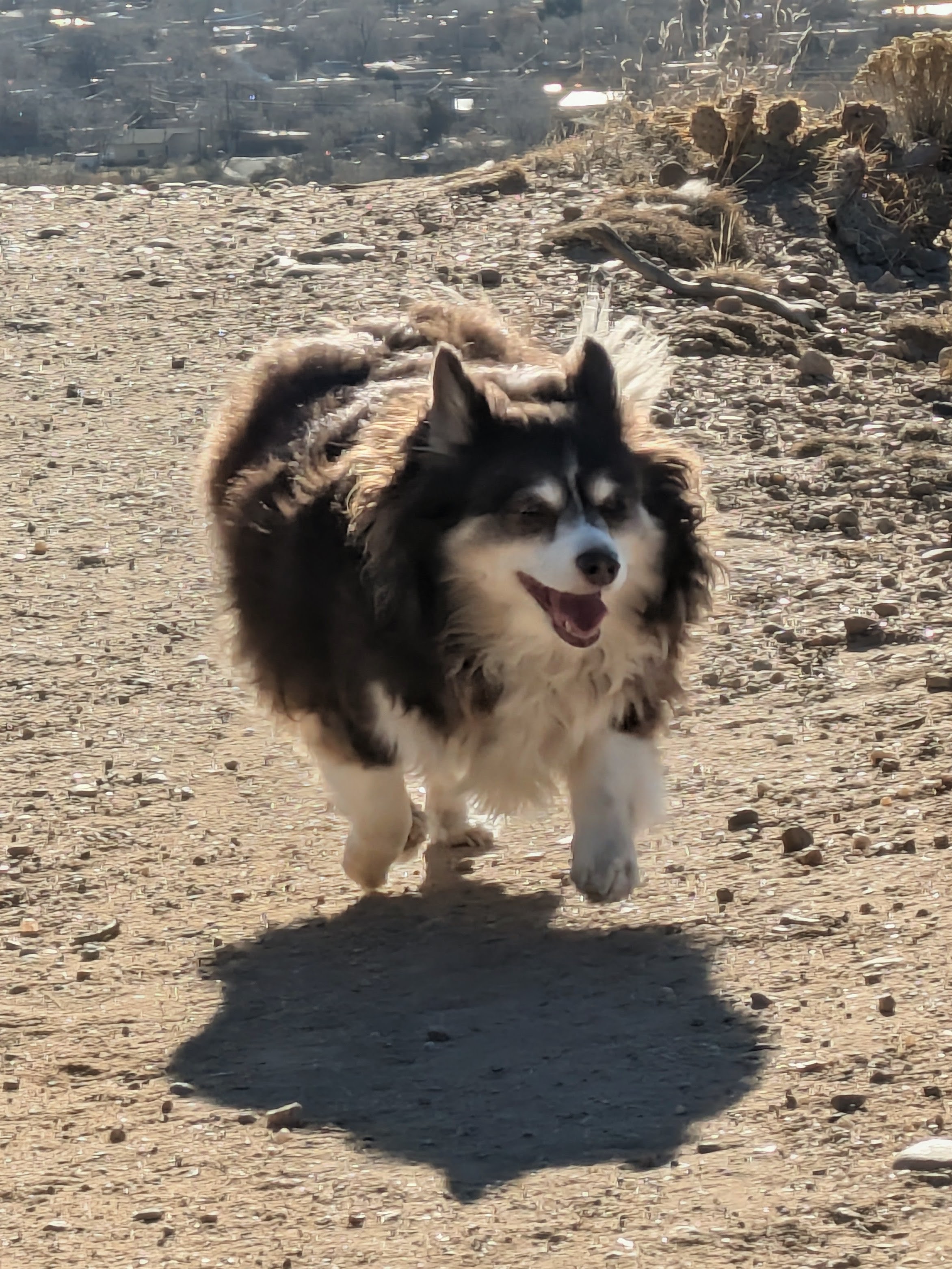 PXL_20260121_163321343.NIGHT~2